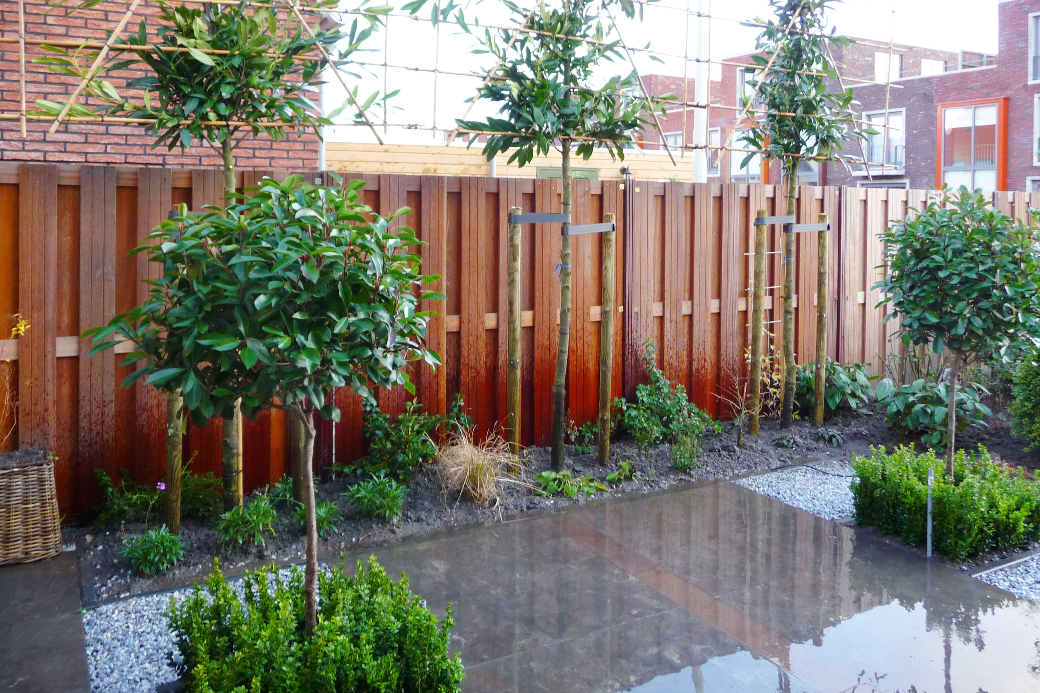 Aangelegd terras in een groene tuin