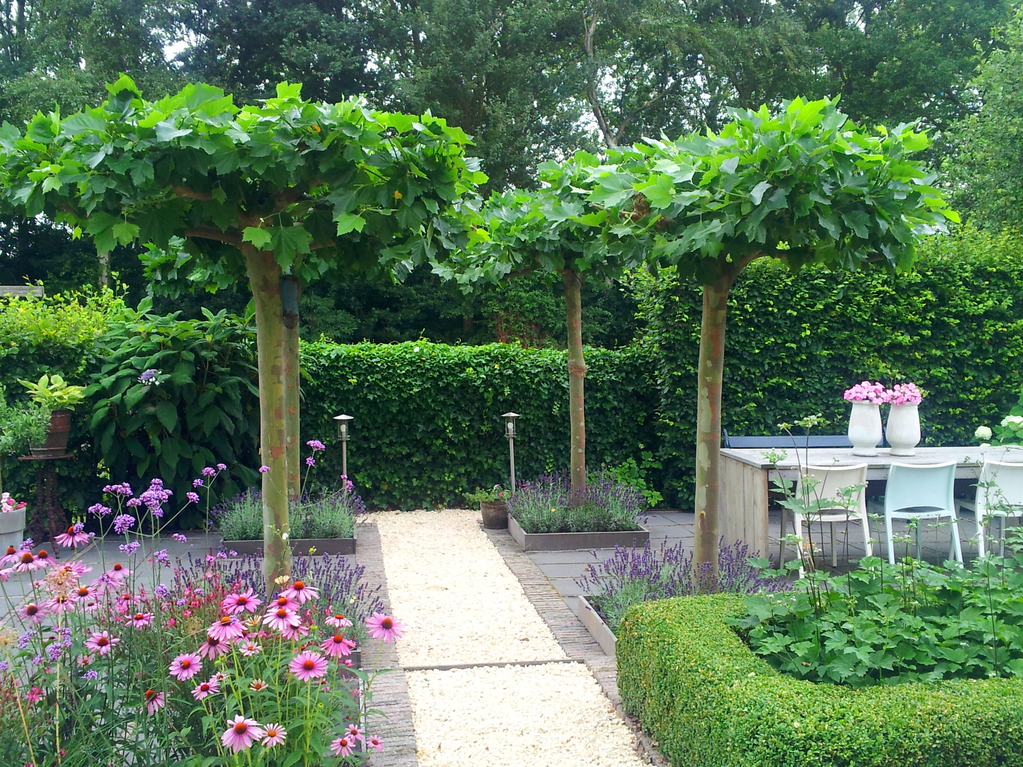 Verzorgde tuin met gazon en groene borders